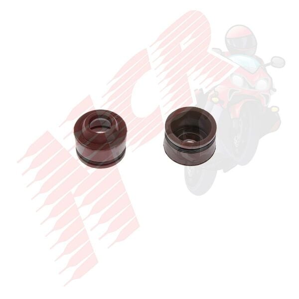 SUBAP KEÇESİ (VTC) CUP 100