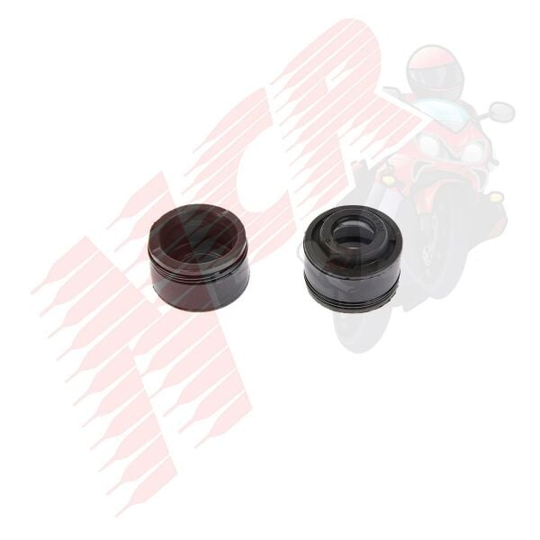 SUBAP KEÇESİ (VTC) CG 125