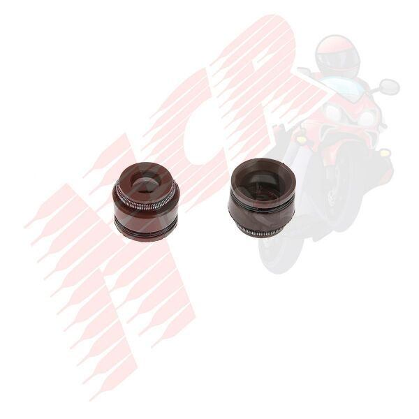 SUBAP KEÇESİ [VTC] YBR 125