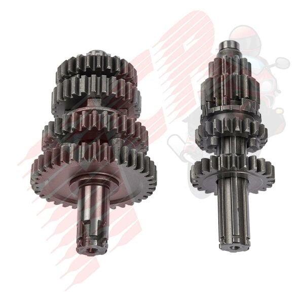 ŞANZIMAN KOMPLE CUP SFC 100