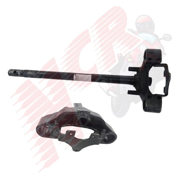 ÖN MAŞA [PLATİN] 3 TEKERLEKLİ BİNEK MODEL E-BIKE