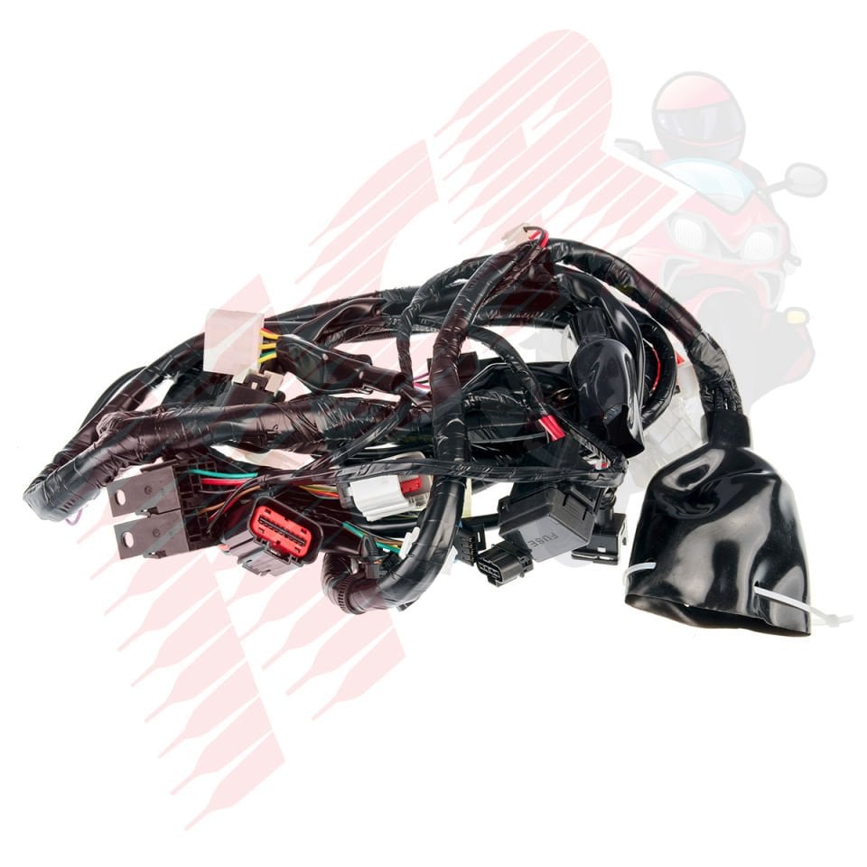 ELEKTRİK TESİSATI SPONTINI DELPHI